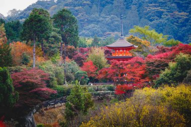 Kiyomizu-Dera