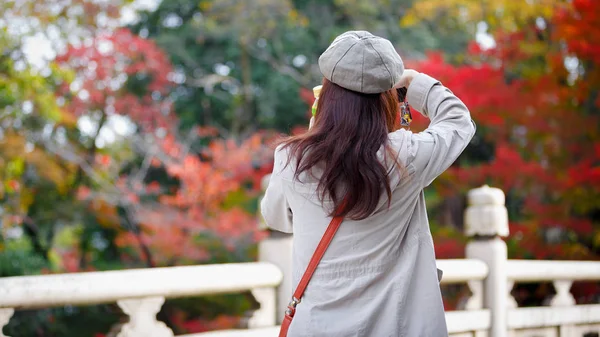 Herfstpark — Stockfoto