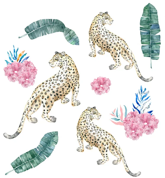 Bela chita e folhas tropicais com ilustração aquarela sobre fundo isolado. Animal africano, clip art colorido. Conjunto de selva e flores rosa — Fotografia de Stock