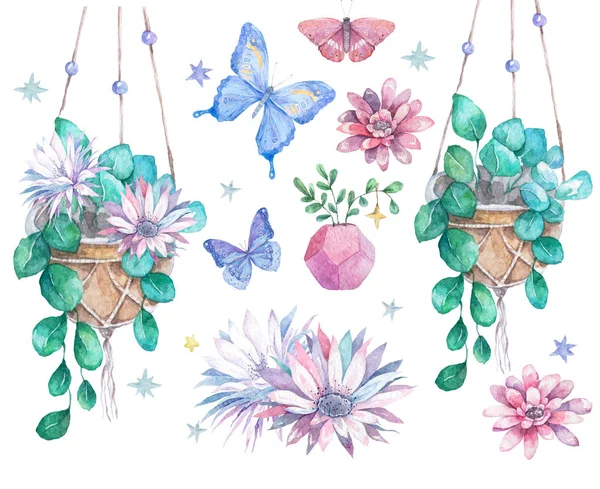 Акварель набор красоты растений и цветов и синий, розовый летающий бабочка. Набор иллюстраций декора на белом изолированном фоне для поздравительной открытки — стоковое фото