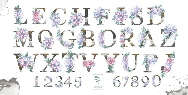 Beauty letters with watercolor pink flowers and elegant alphabet numbers with floral and leaves isolated ABC on background. Wedding, invite and birthday card for calebration — 스톡 사진