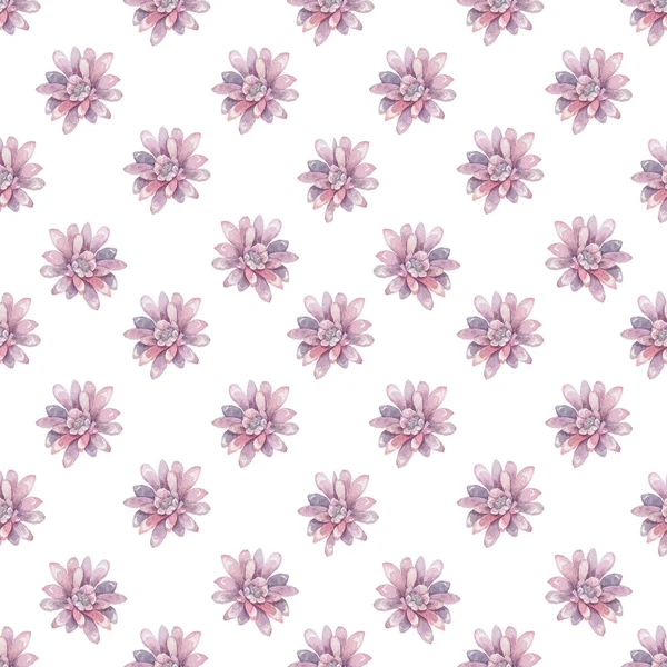 This Modern Pink and Purple Floral Pattern Features a Repeating Flower Background Design with Pastel Colors (dalam bahasa Inggris). Bunga teratai dan kaktus berwarna-warni ilustrasi untuk pernikahan, pembelahan, mengundang — Stok Foto