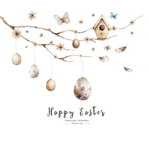 가지에 달걀을 매달아 부활절 축하장 — 스톡 사진