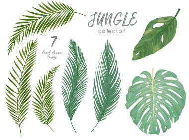 Beyaz arka planda izole edilmiş tropikal yaprakların toplanması. Suluboya el çizimi çizimi
