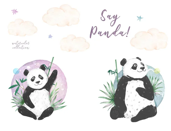 Коллекция Панд Милые Маленькие Панды Мамой Иллюстрации Украшены Цветочными Элементами — стоковое фото