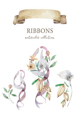 Suluboya kurdeleler hazır. El çizilmiş çizgiler veya pankartlar Watercolor tasarım ögeleri izole nesneler.