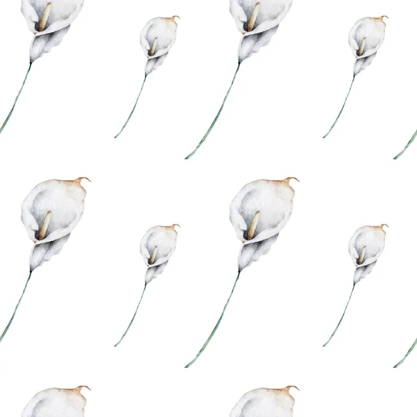 Padrão Sem Costura Com Flores Lírio Calla Branco Folhas Verdes — Fotografia de Stock