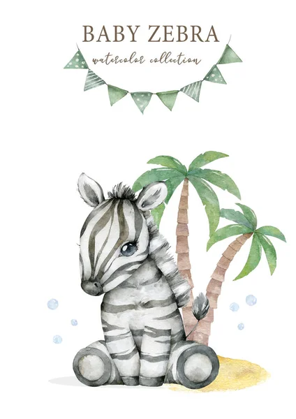 Cute Dziecko Zebra Kreskówki Ilustracja — Zdjęcie stockowe