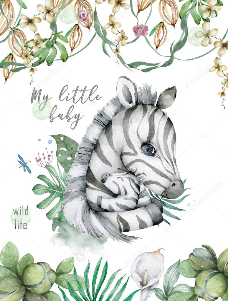 Hand drawn cute isolated tropical summer watercolor zebra animals. Zebra baby and mother cartoon animal with jungle leaves