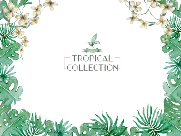Conjunto Tropical Aquarela Desenhado Mão Folhas Exóticas Ilustrações Árvore Selva — Fotografia de Stock