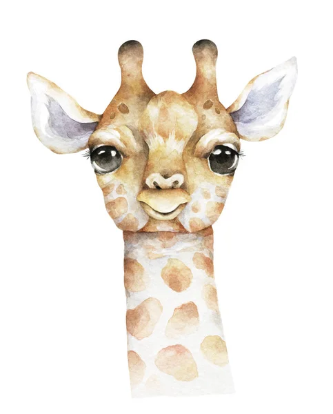 Cartel con una jirafa bebé. Dibujos animados de acuarela jirafa animal tropical ilustración. Selva diseño exótico verano —  Fotos de Stock