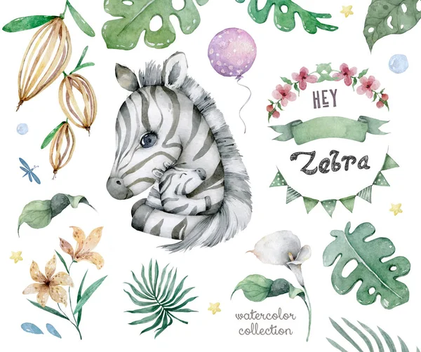Hand drawn cute isolated tropical summer watercolor zebra animals. Zebra baby and mother cartoon animal illustrations, jungle tree, brazil trendy design