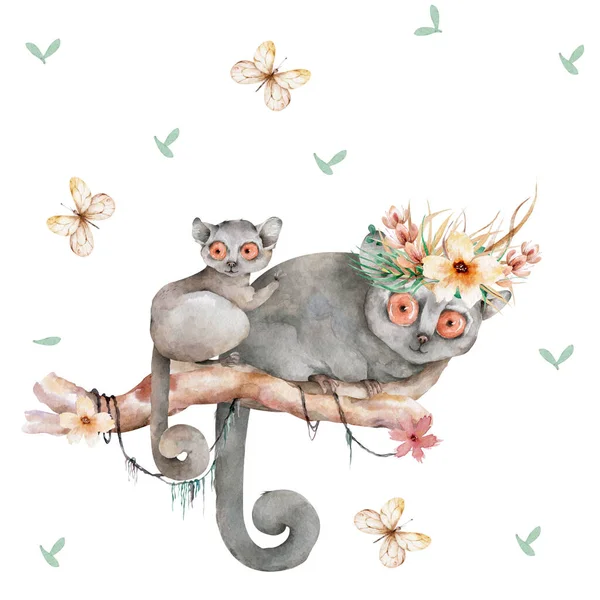 Lémure de rato bebé. Mão desenhada bonito aquarela desenho animado mouse lemur na árvore com folhas da selva no fundo branco — Fotografia de Stock