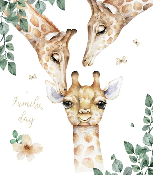 Плакат з сімейним жирафом. Акварель мультфільм Жираф тропічна ілюстрація тварин. Джунглі екзотичний літній дизайн — стокове фото