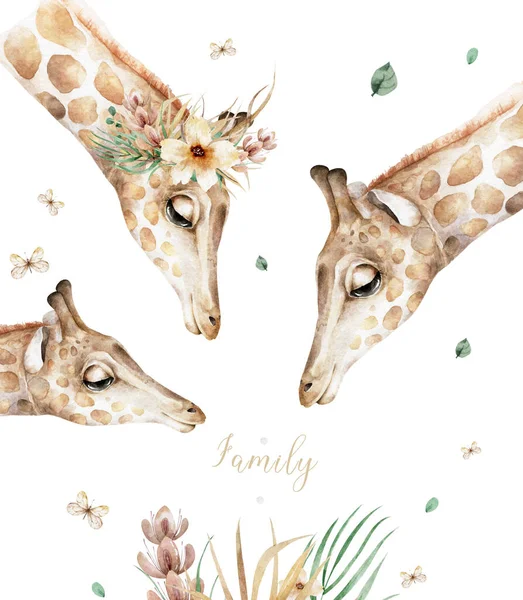 Cartel con una jirafa familiar. Dibujos animados de acuarela jirafa animal tropical ilustración. Selva diseño exótico verano —  Fotos de Stock
