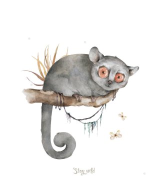 Fare lemuru deseni. Ağaca çizilmiş şirin suluboya fare lemuru orman yapraklı beyaz arka plan