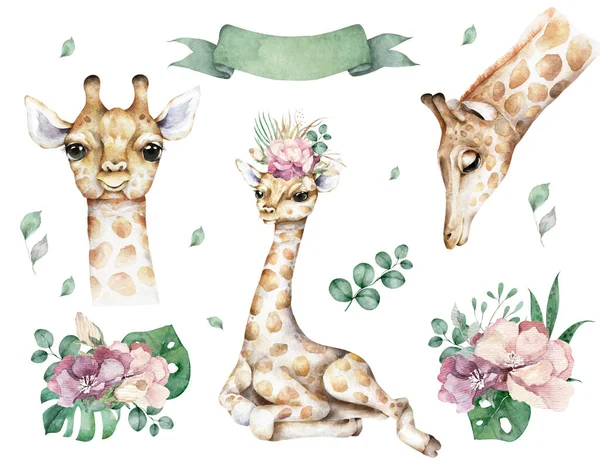Poster with giraffe. Watercolor cartoon giraffe tropical animal illustration. Jungle exotic summer design