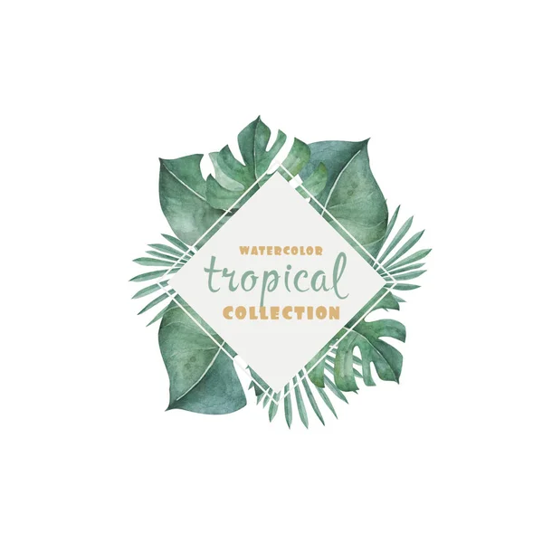 Moldura Aquarela Com Folhas Palma Tropicais Ilustração — Fotografia de Stock