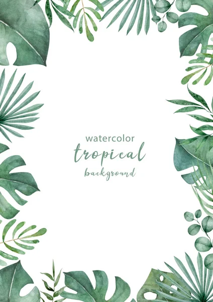 Handdragna Grenar Och Blad Tropiska Växter Grön Rektangel Horisontell Blommig — Stockfoto