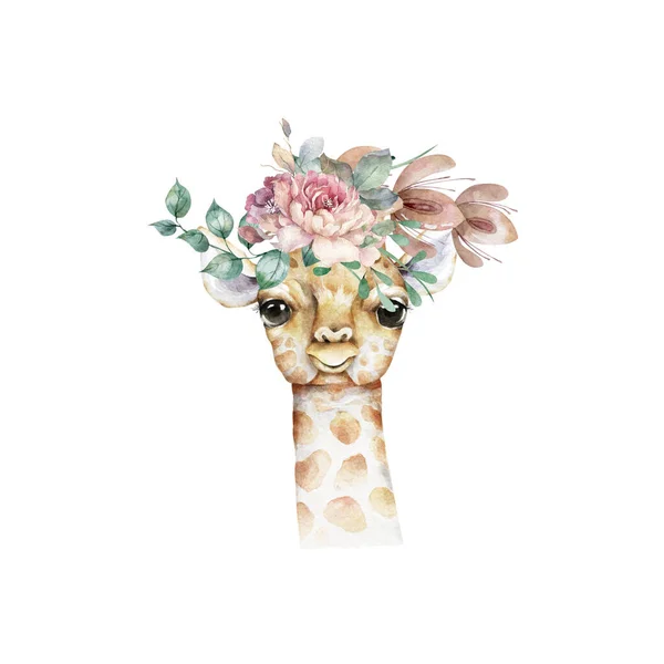 Plakat Mit Giraffe Aquarell Karikatur Giraffe Tropischen Tier Illustration Dschungel — Stockfoto