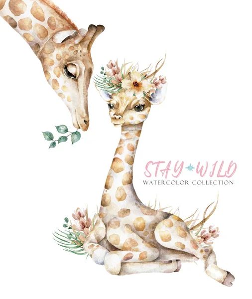 Plakát Žirafou Akvarel Karikatura Izolované Žirafy Tropické Zvíře Ilustrace Džungle — Stock fotografie