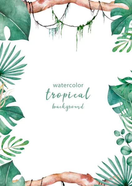 手工绘制热带植物的枝叶 绿色矩形水平花框 有藤蔓分枝 案文的篇幅 — 图库照片
