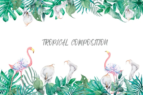 Conjunto Tropical Aquarela Desenhado Mão Folhas Exóticas Ilustrações Árvore Selva — Fotografia de Stock