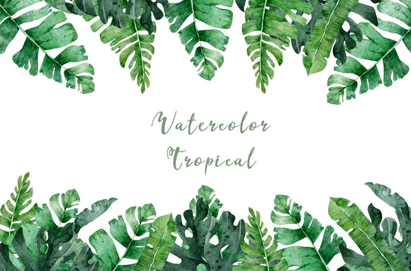 Handgezeichnetes Aquarell Tropisches Set Exotische Blätter Dschungel Brasilien Trend Perfekt — Stockfoto