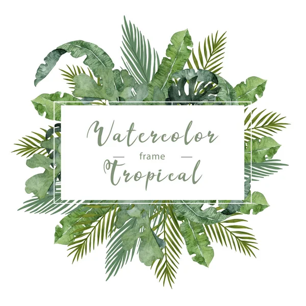 Moldura Aquarela Com Folhas Palma Tropicais Ilustração — Fotografia de Stock