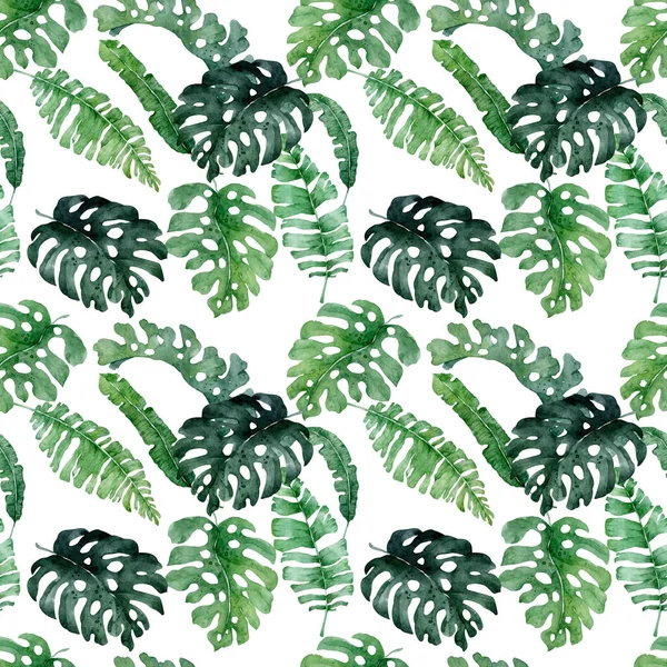 手描き水彩熱帯セット エキゾチックな葉のイラスト ジャングルの木 ブラジルの流行 ファブリックデザインに最適 アロハコレクション — ストック写真