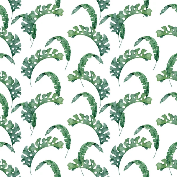 Set Tropicale Acquerello Disegnato Mano Illustrazioni Foglie Esotiche Albero Della — Foto Stock