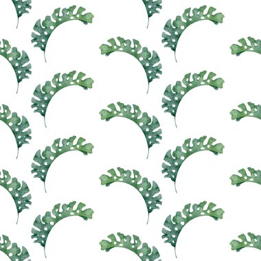 El yapımı suluboya tropikal set. Egzotik yapraklar, orman ağacı, Brezilya modası. Kumaş tasarımı için mükemmel. Aloha koleksiyonu.