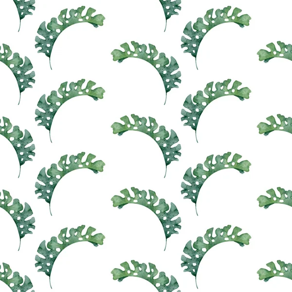 Ręcznie Rysowany Akwarelowy Zestaw Tropikalny Egzotyczne Ilustracje Liści Drzewo Dżungli — Zdjęcie stockowe