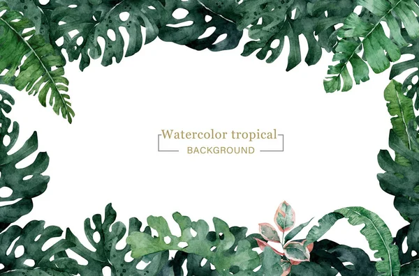 Handgezeichnetes Aquarell Tropisches Set Exotische Blätter Dschungel Brasilien Trend Perfekt — Stockfoto