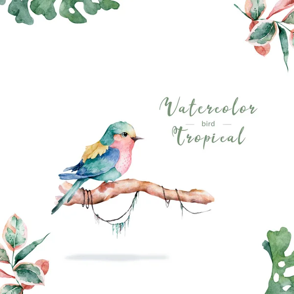Hermosa ilustración exótica floral con pájaro rosa, hojas tropicales. Acuarela dibujada a mano aislada sobre fondo blanco —  Fotos de Stock