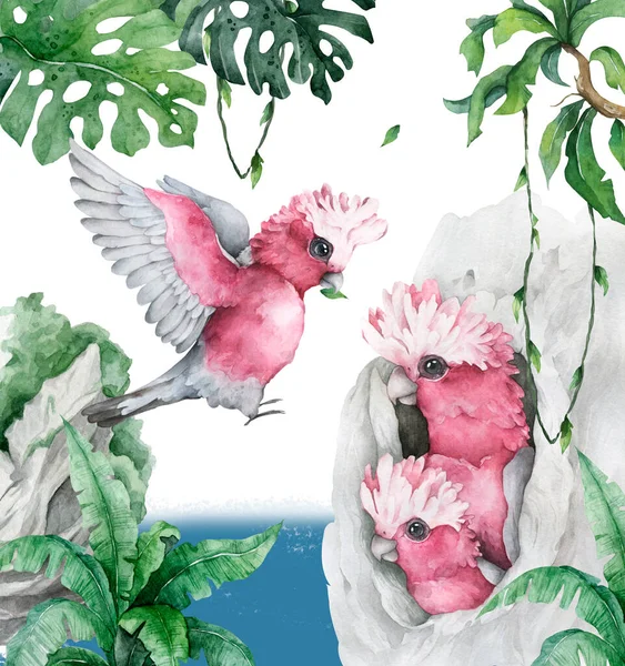 Ilustração exótica floral trópica com papagaio-da-cacatua rosa de casa, folhas tropicais. Aquarela desenhada à mão isolada no fundo branco — Fotografia de Stock