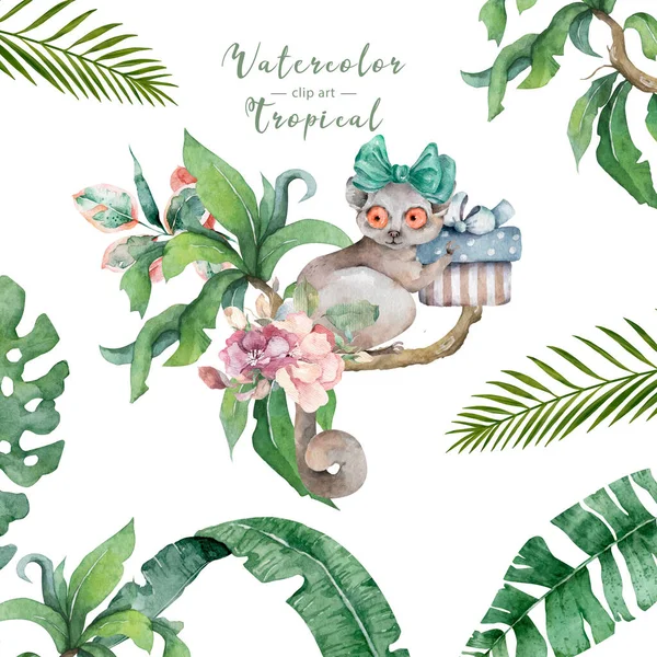 Mouse Lemur Pattern Hand Drawn Cute Watercolor Cartoon Mouse Lemur Royalty Free Stock Photos
