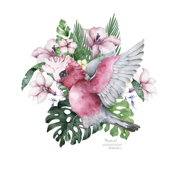 Prachtige Exotische Bloemenillustratie Met Papegaai Tropische Bladeren Hibiscus Geïsoleerd Witte — Stockfoto