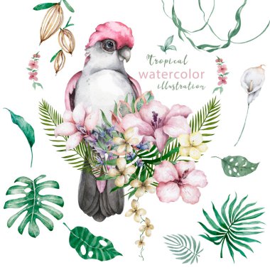 Papağan, tropik yapraklar ve amber çiçekli güzel egzotik bir illüstrasyon. Beyaz arkaplanda izole