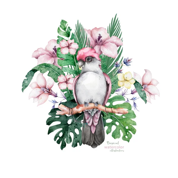 Piękny Kwiatowy Egzotyczny Ilustracja Papuga Tropikalny Liść Hibiskus Izolacja Białym — Zdjęcie stockowe
