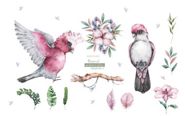 Papağan, tropik yapraklar ve amber çiçekli güzel egzotik bir illüstrasyon. Beyaz arkaplanda izole