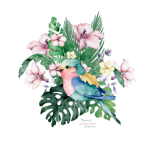 Hermosa Ilustración Exótica Floral Con Loro Hojas Tropicales Hibisco Aislado —  Fotos de Stock