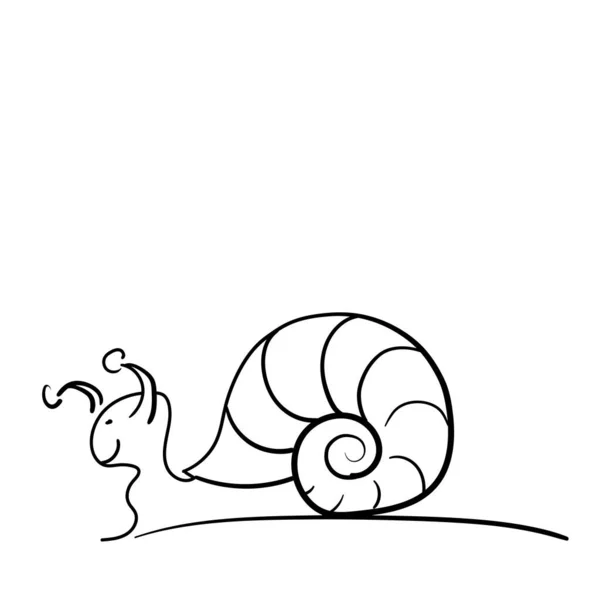 Salyangoz siyah ve beyaz, tasasız çizgili.