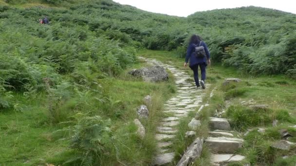 Mujer escalando montaña camino — Vídeos de Stock