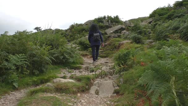 Mujer escalando montaña sendero — Vídeos de Stock