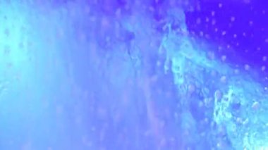 Makine çamaşır arabası kısmı