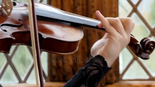 Femme jouant du violon en gros plan — Video