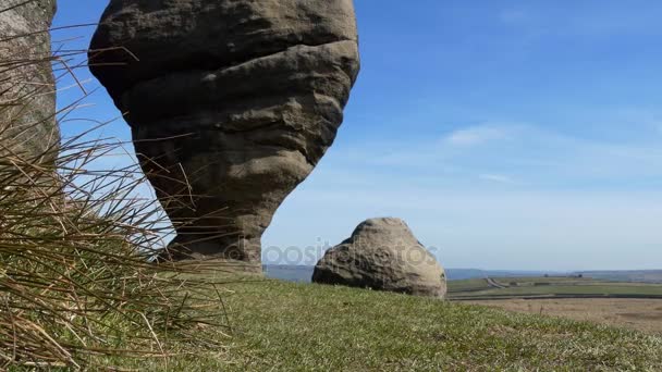 Bridestone, oczyszczenie i trawy — Wideo stockowe