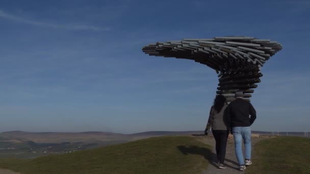 Paar am Metallpfeifenbaum auf dem Hügel — Stockvideo