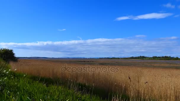 River Wyre estuary landscape — Stock Video